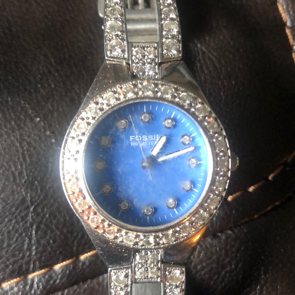 Fossil Watch